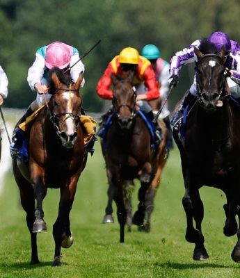 HORSE RACING BETTING